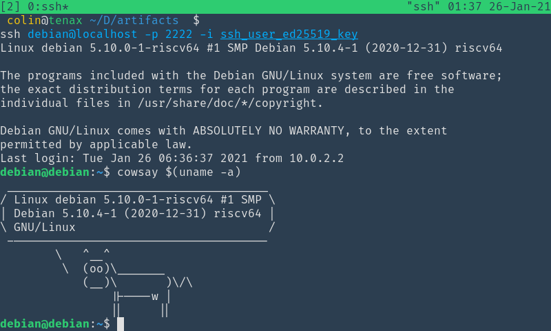 Screengrab of an SSH session to the VM